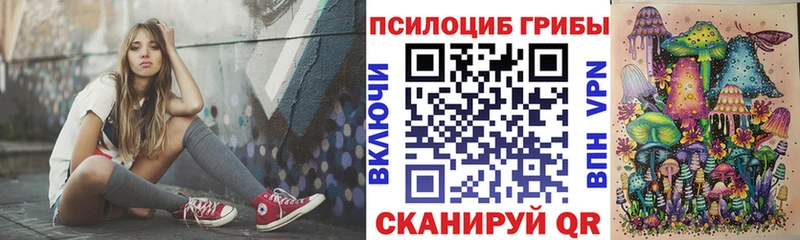где можно купить   Новая Ляля  Псилоцибиновые грибы MAGIC MUSHROOMS 